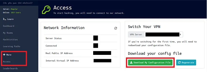 TryHackMe-OpenVPN-Write-Up