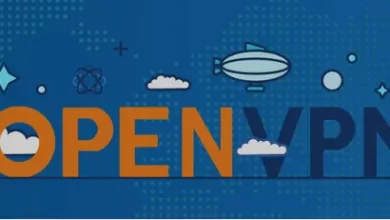 TryHackMe-OpenVPN-Write-Up